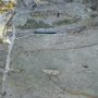 Coss-bedding in metasedimentary rocks, Gallivaare (Fot. Dorota Pietruszka)